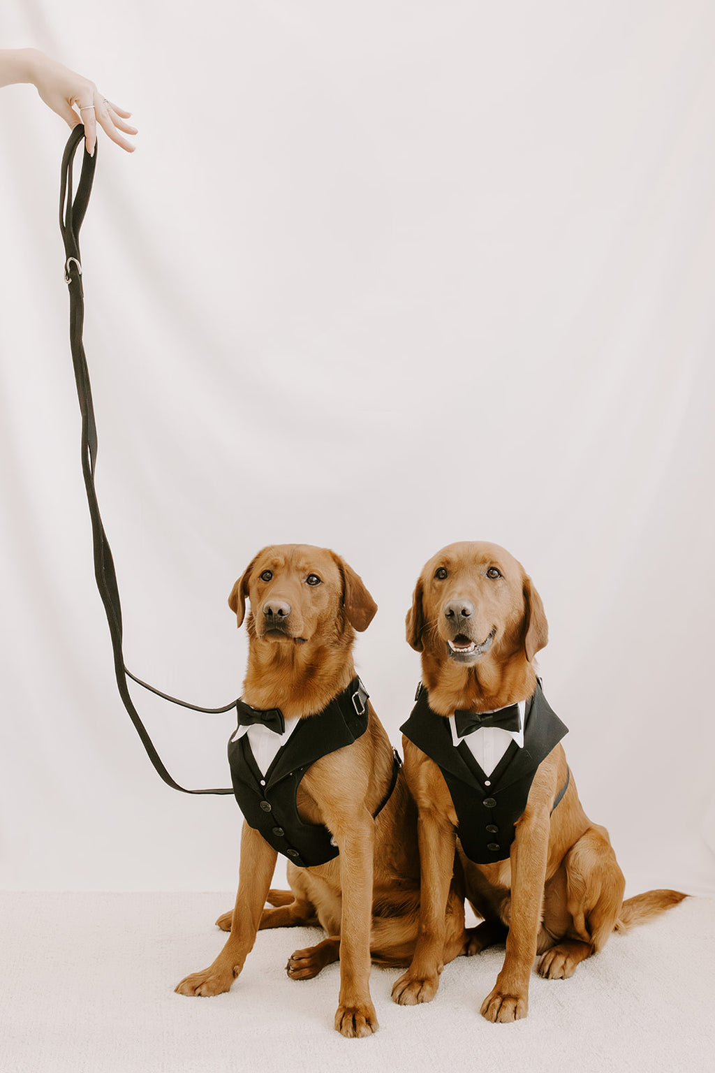 Matching Dog Lead