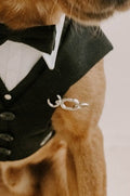 Ring Bearer Attachment