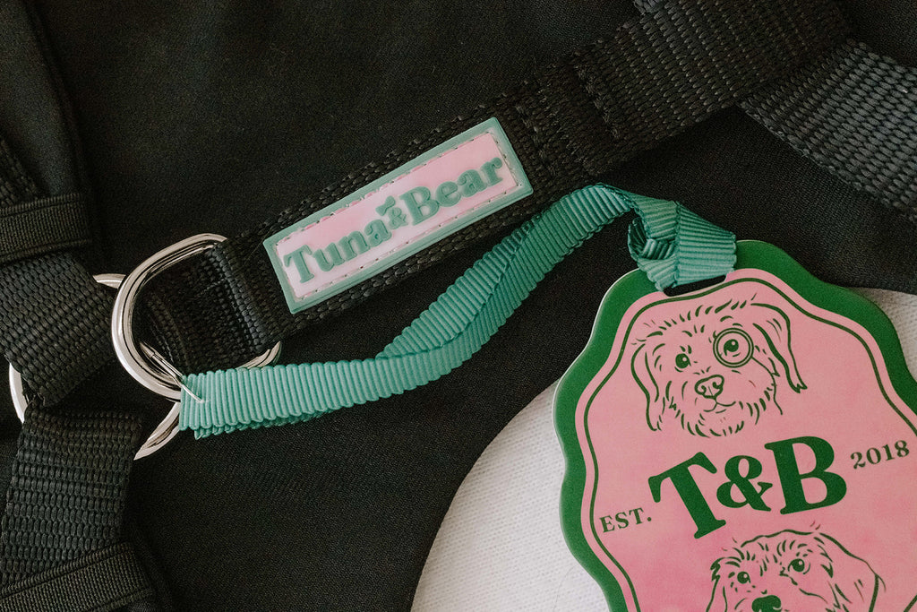 Matching Dog Lead