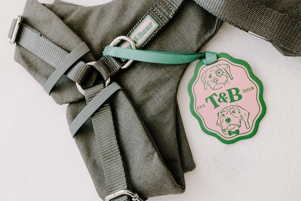 Slate Grey Dog Suit Harness