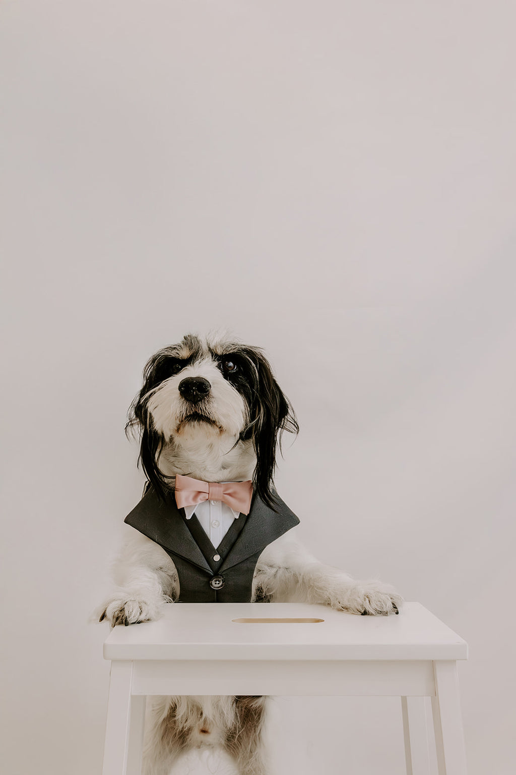 Slate Grey Dog Suit Harness