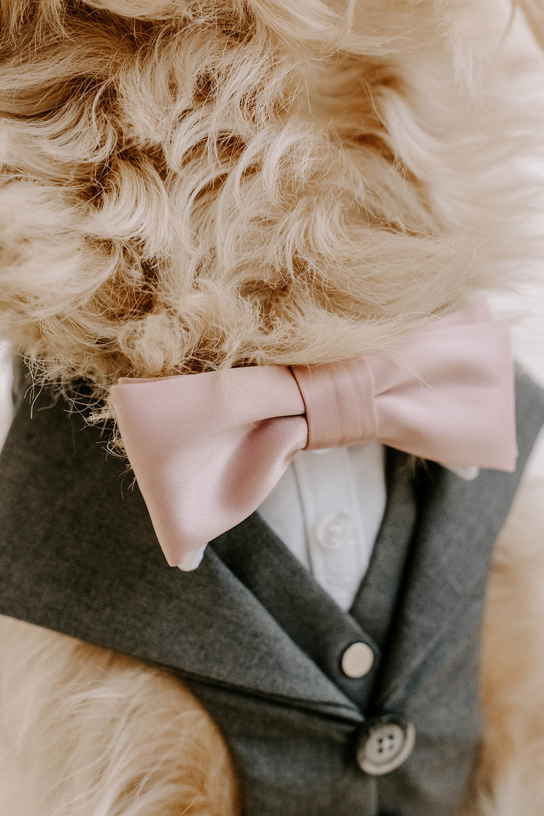 Slate Grey Dog Suit Harness