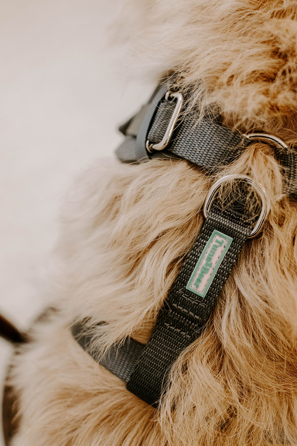 Slate Grey Dog Suit Harness