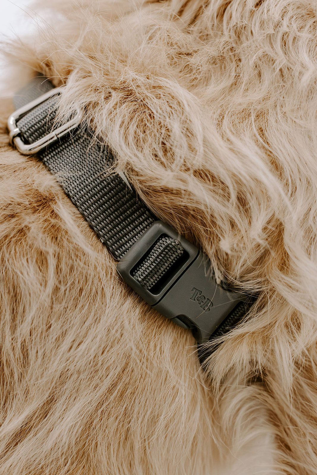 Slate Grey Dog Suit Harness