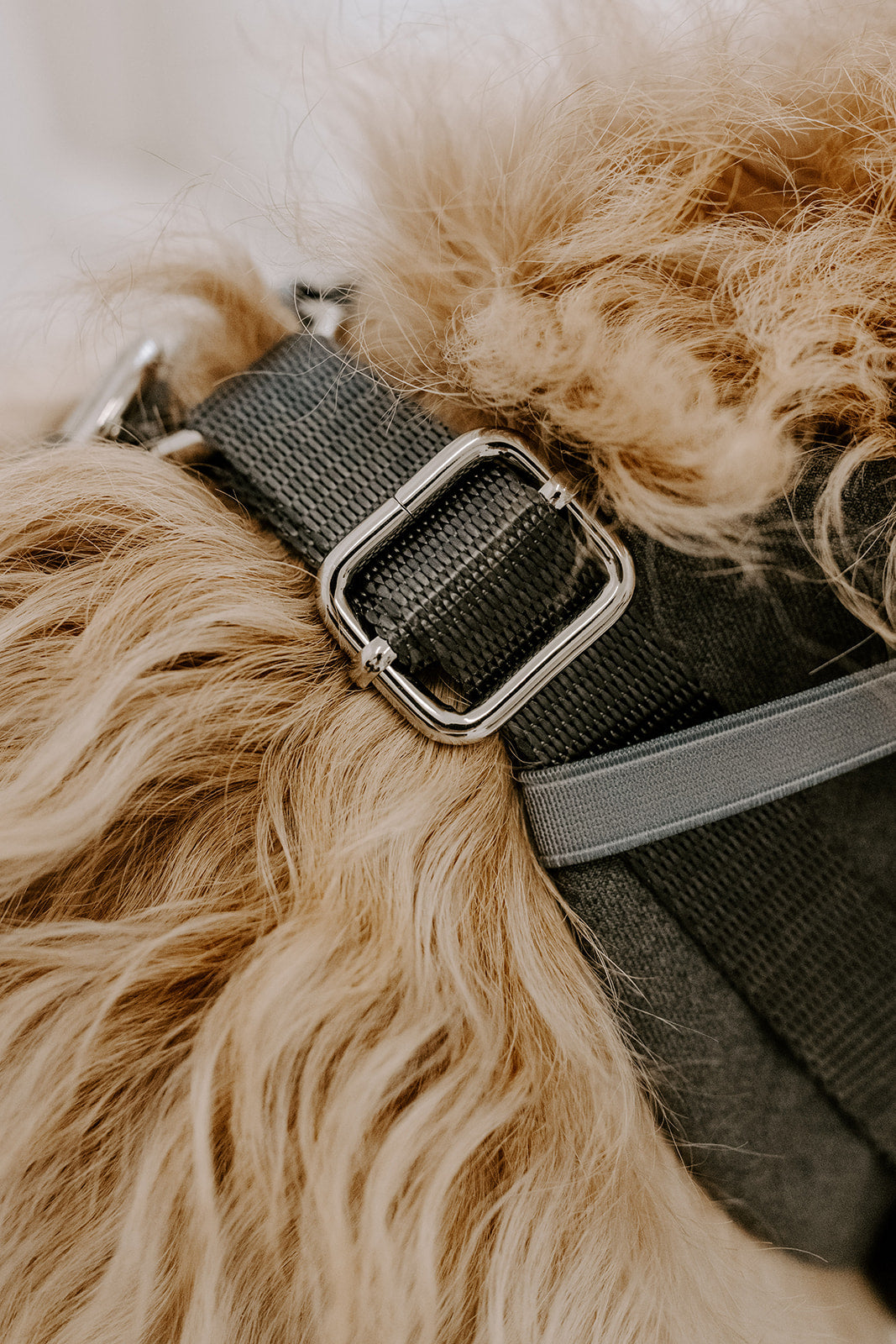 Slate Grey Dog Suit Harness