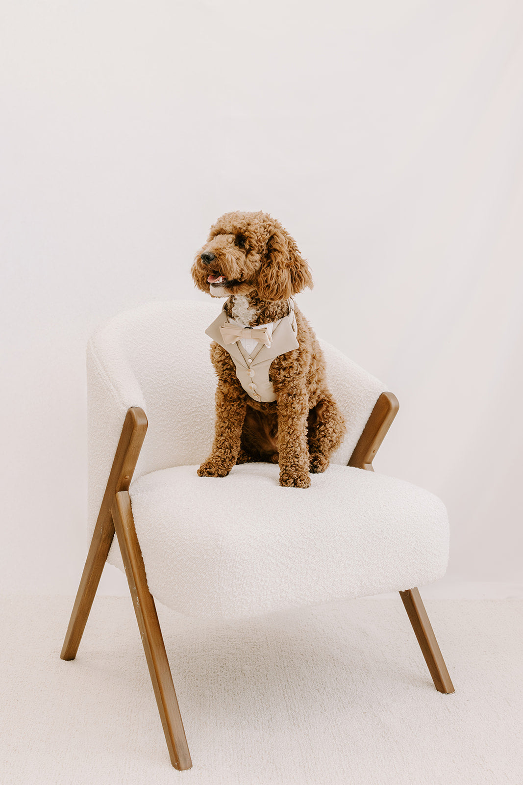 Sand Dog Suit Harness