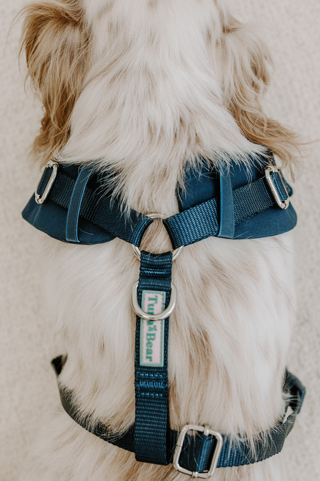 Midnight Navy Dog Suit Harness