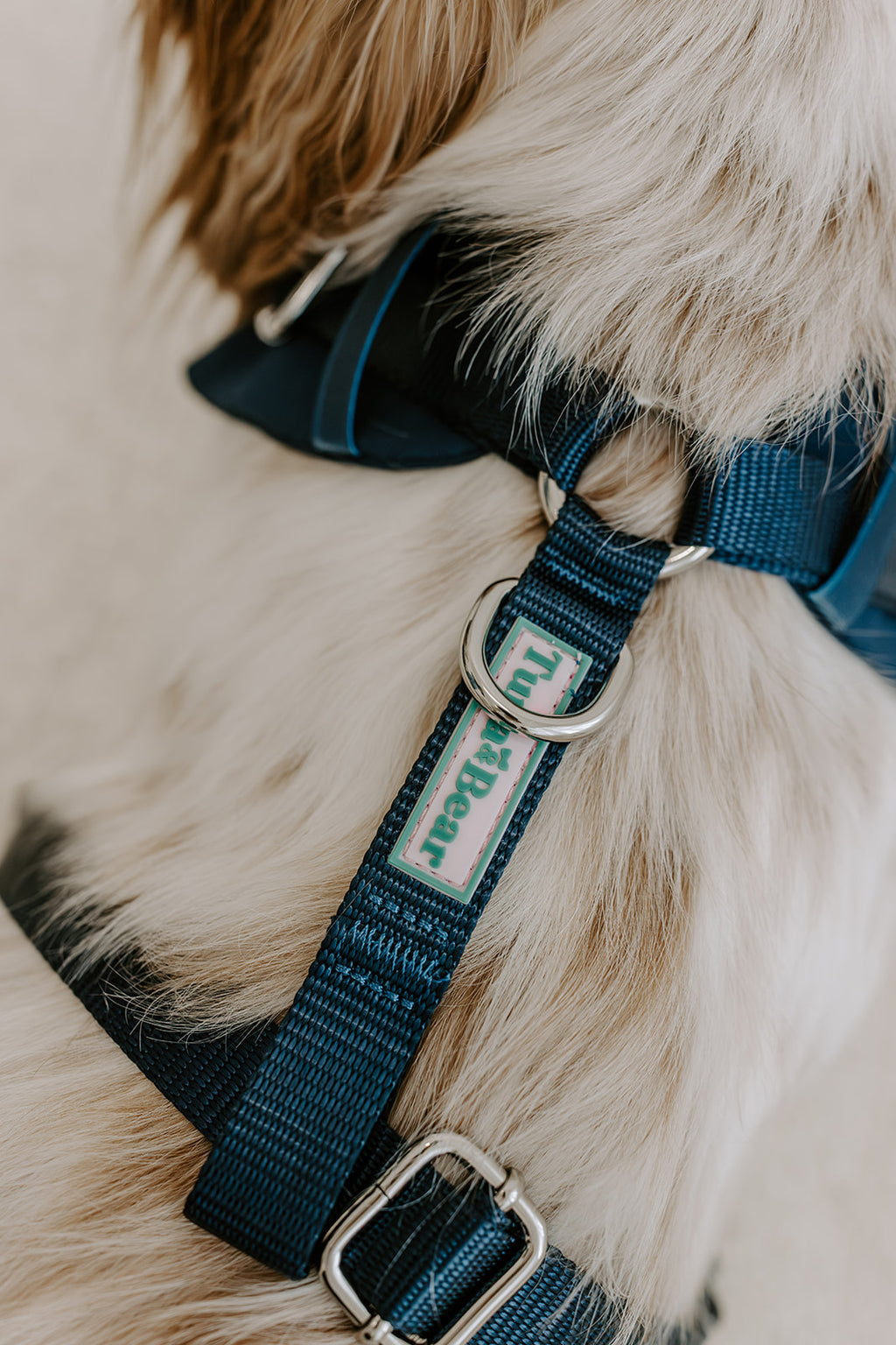 Midnight Navy Dog Suit Harness