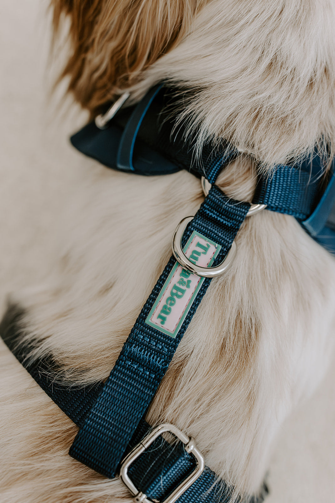 Midnight Navy Dog Suit Harness