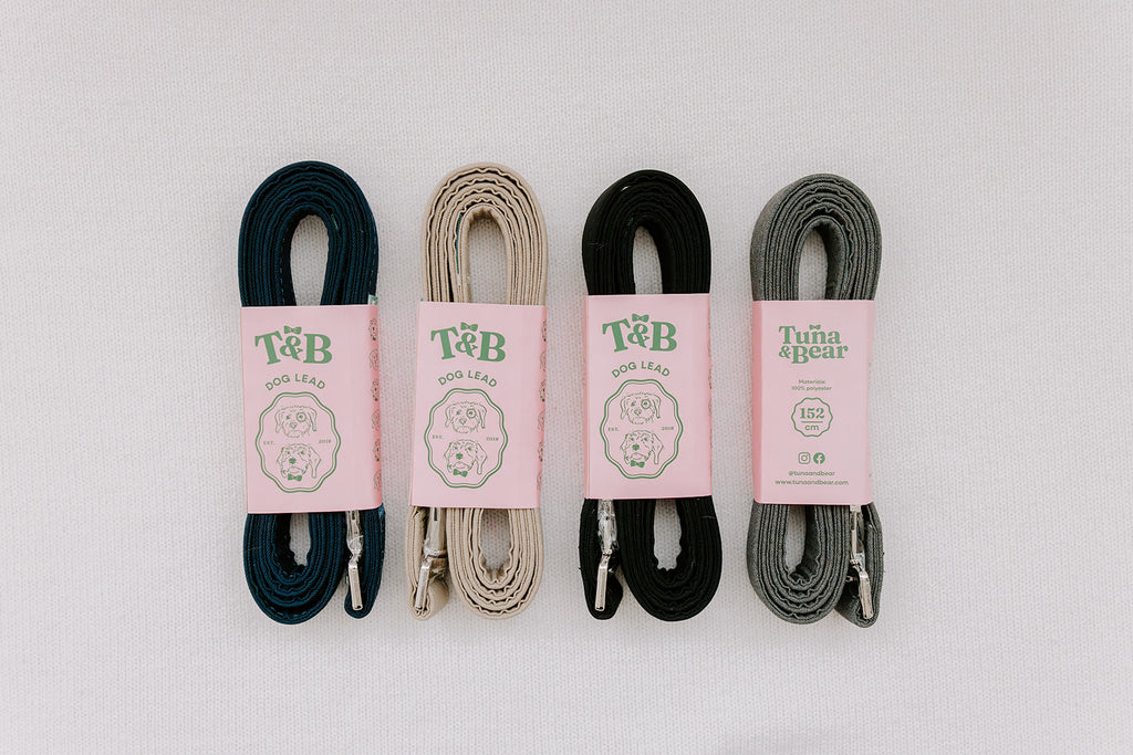 Matching Dog Lead